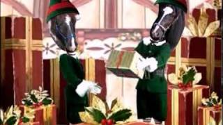 preview picture of video 'Gypsy Horses Celebrating Christmas'