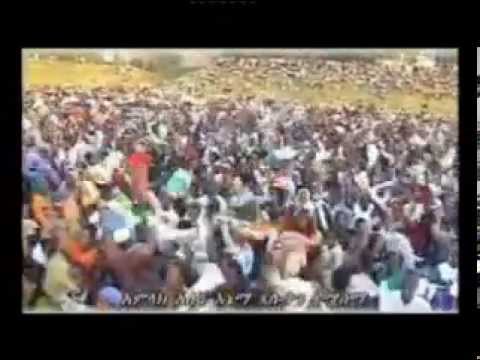 Tagay Woldemariam  Amlak Alegn Enema vcd version