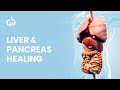 Liver Healing Frequency Rife Frequency For Liver Pancreas Healing