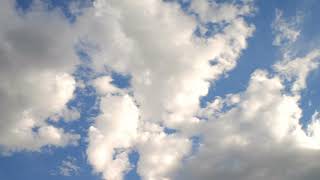 Download lagu I WANNA LIFE MY LIVE BREAKBEAT mp3 Download lagu I WANNA LIFE MY LIVE BREAKBEAT mp3