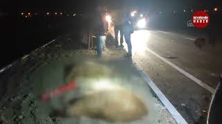 Seydişehir'e Otomobil koyun sürüsüne çarptı