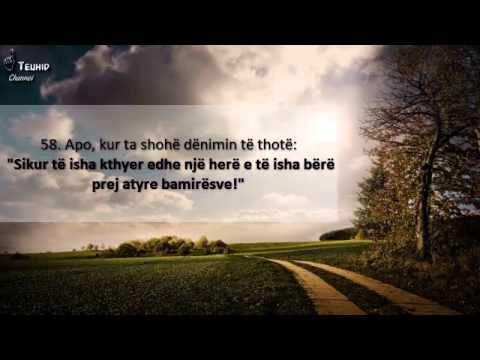 "O robërit e Mi, të cilët e keni ngarkuar vetën me shumë gjynahe..."  - Maher Al-Muaiqly