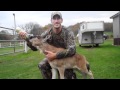 Clay And Lilly The Baby Wildebeest