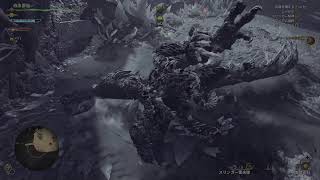 【MHワイルズ】一人でもワイルズだぜぇ～？