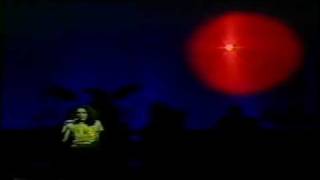 GAL COSTA - LUZ DO SOL (BABY GAL PALACE - 1984)