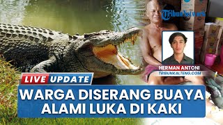 Nasib Pria Disambar Buaya di Camba Kalteng hingga Kakinya Terluka Kena Gigitan, Bikin Warga Khawatir