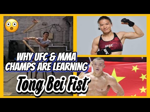 Why UFC & MMA Champs Are Learning Ancient Boxing :Tong Bei Fist #shorts  #KungFu #mma