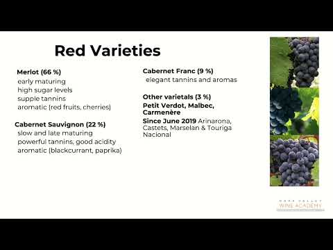 Bordeaux Grape Varieties - Bordeaux Masterclass with Wendy Narby - Napa Valley Wine Academy