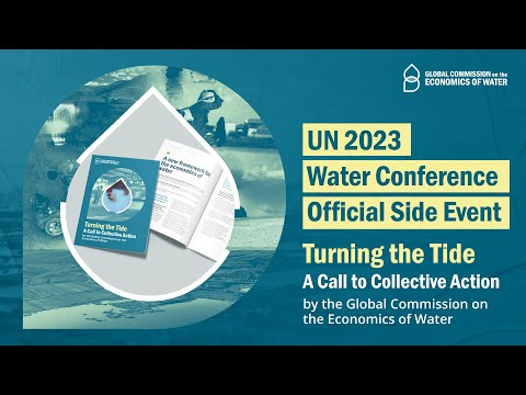 United Nations Water Conference | Vibepedia