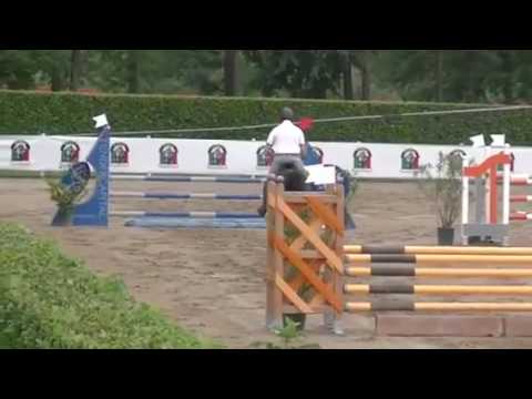 CHIC CHIC ( Comme il Faut x Contendro)  first show in his life