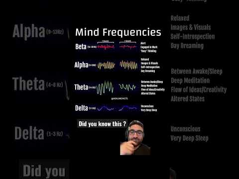 The mind frequencies #brainwaves #humanmind #meditation #alphawaves #betawaves