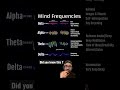 The Mind Frequencies Brainwaves Humanmind Meditation Alphawaves Betawaves