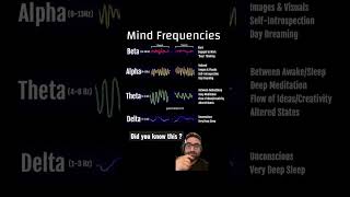 Download lagu Frekuensi pikiran #gelombangotak #pikiranmanusia #meditasi #gelombangalfa #gelombangbeta mp3 Download lagu Frekuensi pikiran #gelombangotak #pikiranmanusia #meditasi #gelombangalfa #gelombangbeta mp3