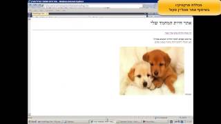קורס בסיסי ב HTML - תגיות פלט ב HTML - שיעור 03