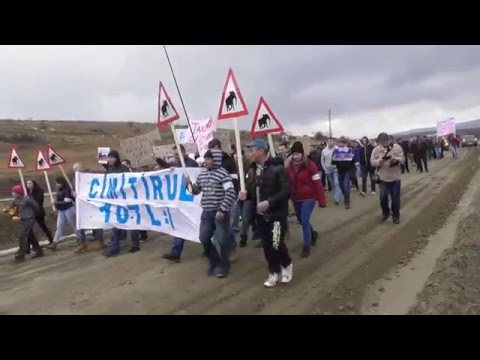 Protest pentru un drum mai bun, la Petreștii de Jos (20.02.2016)