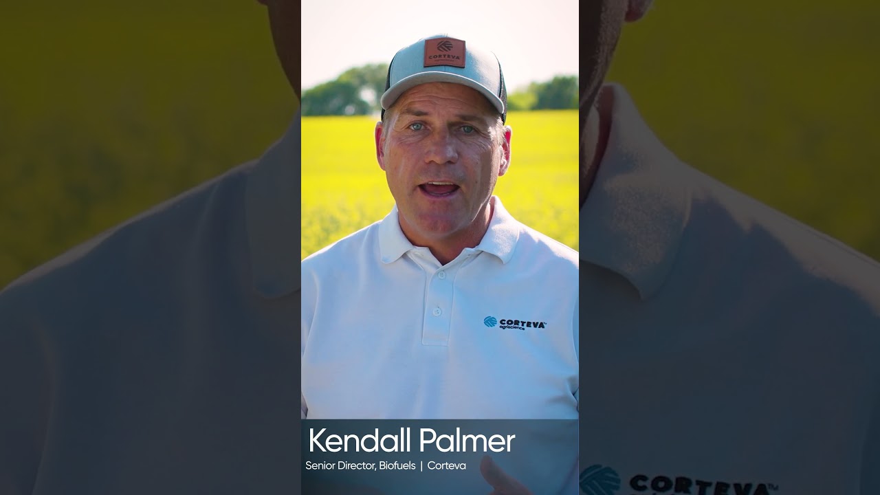 Winter Canola - Field Support