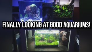 Reacting to the Best Aquariums on Reddit!