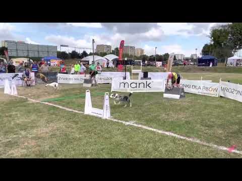 1 bieg RR - Great Minds of WB - Pedziszlapy @ POZNAŃ 6.08.2022