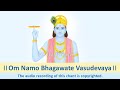 Shri Krishna Mantra Chant Om Namo Bhagawate Vasudevaya For Spiritual Growth And Positivity
