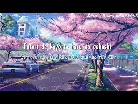 [VIETSUB-LYRICS]さくら(桜)/ いきもの がかり-Sakura/Ikimono-gakari