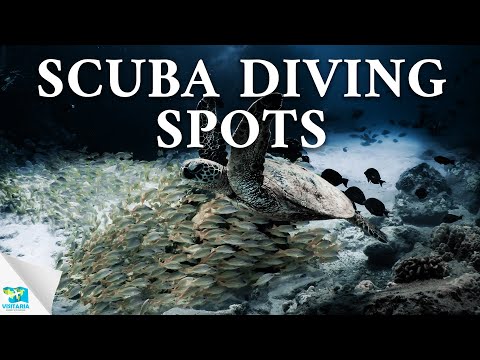 10 Best Scuba Diving Sites In The World