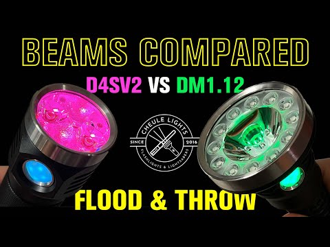 D4SV2 vs DM1.12 Beam Comparison