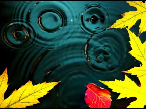 Velinka Grgurević - S one strane vode Sane