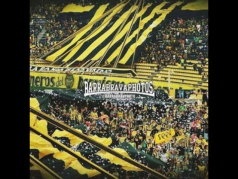 "Avalancha Sur 1997, Hoy te venimos a alentar ðŸŽµ âž• Salida" Barra: Avalancha Sur &bull; Club: Deportivo Táchira
