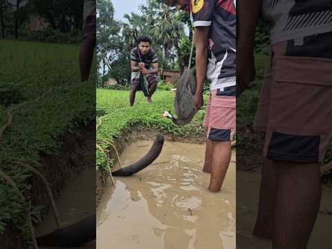 What is this caming 🤔🤔 #viral #funnyshorts