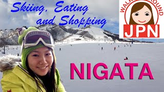 preview picture of video 'Travel to Japan 7: skiing, eating and shopping in Nigata.'