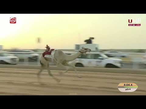 ش 1 (وضوح) لـ فاران عتيق بن محمد البريد المري 5:50:51 , مهرجان ختامي الشحانية 2026/04/20 حقايق