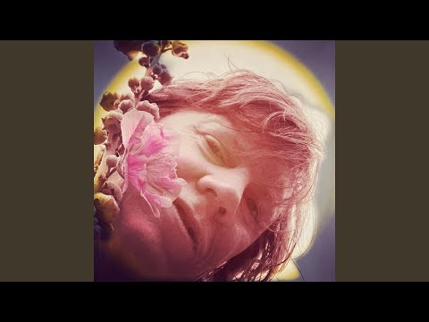 Video thumbnail for Rewilding
