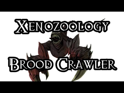Xenozoology: Brood Crawler - 40K Theories