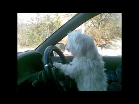 GROOVELIFT   Bel Amour    Live @ Casino De Rotonde Neuchatel   19 01 2002   Part 1