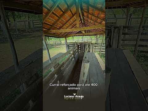 🌾 FAZENDA À VENDA – SÃO GABRIEL DO OESTE (MS)