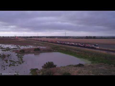 SCT 6PM9 Freight Train With Four CSR Class Diesel Locomotives (9/1/2023) - PoathTV Railways