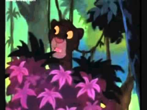 Bagheera the Woodpile Panther Part 10 - Bagheera goes Home