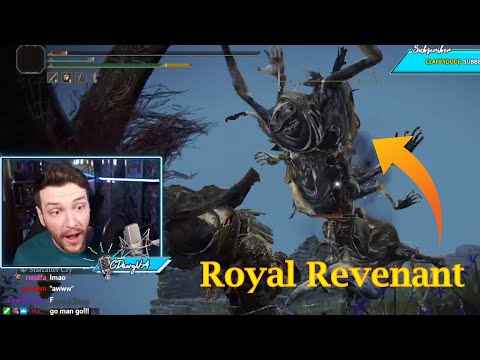 CDawgVA Encounters The Most Liked Enemy in Elden Ring