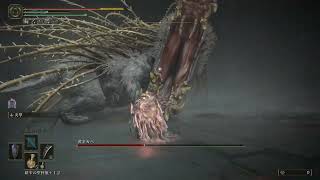 黄金カバ Lv120 加護0 エルデンリング DLC ボス (初攻略時)【ELDEN RING BOSS:Golden Hippopotamus】