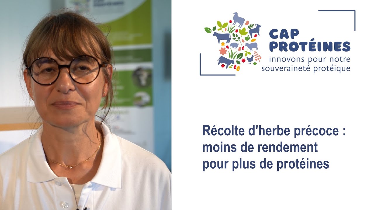 [Salon de l'herbe] Récolte d'herbe précoce : moins de rendement pour plus de protéines