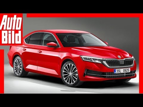 Future prospects: Skoda Octavia (2019) new launch - sketch - information
