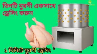 একসাথে অনেক মুরগী ড্রেসিং। ২০২৫ সালের আপডেট মুরগী ড্রেসিং মেশিন। বিডি মেশিনারি