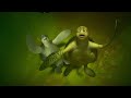 A Turtle S Tale 2 Sammy S Escape From Paradise Sammy And Ray Underwater Sammy And Co Underwater