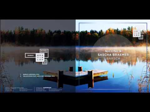 Niconé & Sascha Braemer - "Barsch"-EP