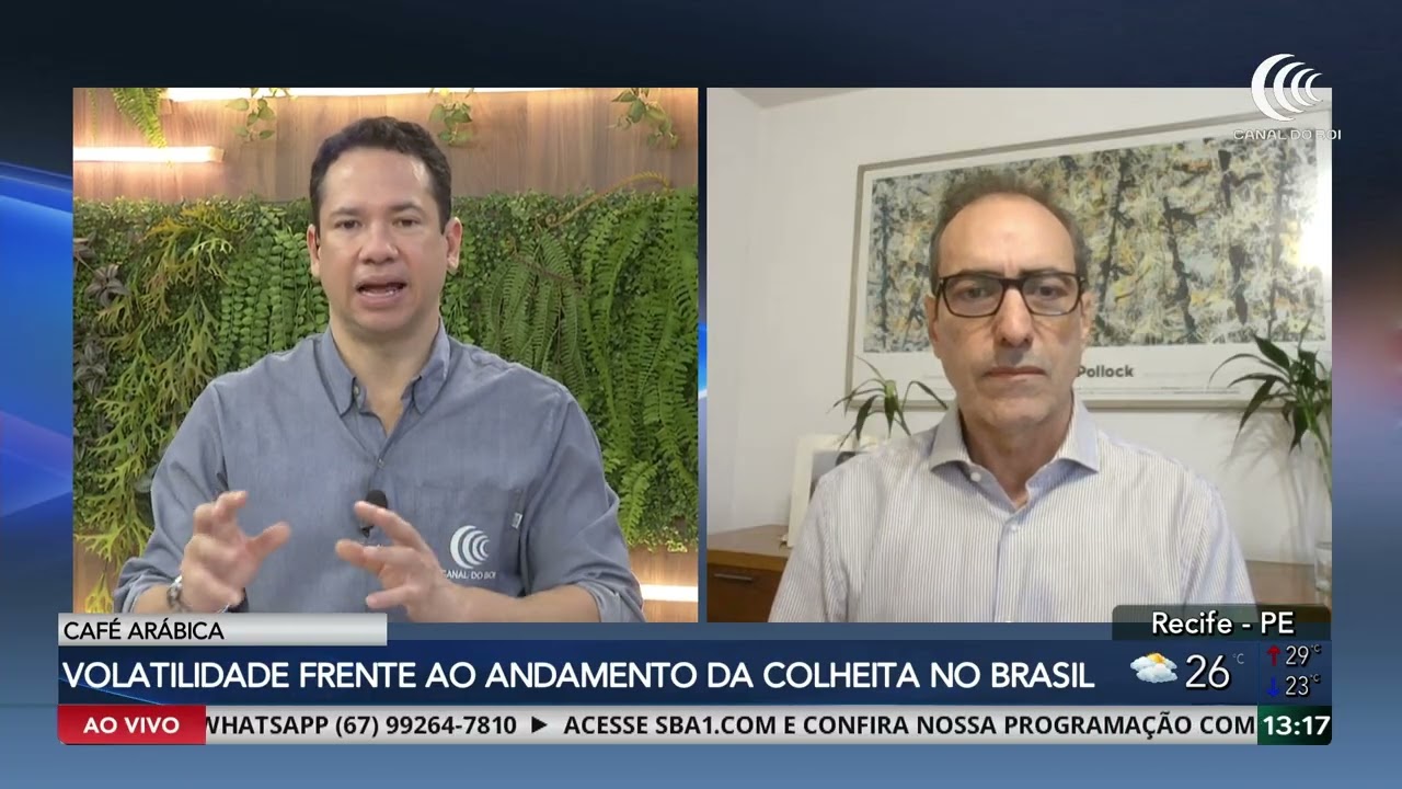 Café arábica mantém volatilidade com avanço da colheita
