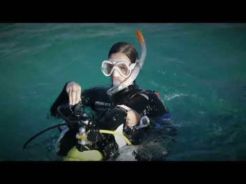 Removing and Replacing the Scuba Unit (Surface)