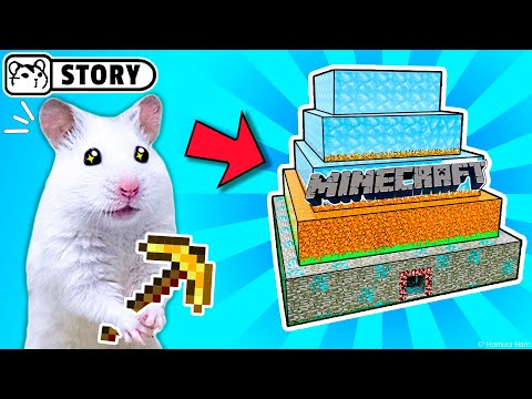 The world's largest hamster maze - obstacle course! #4 🐹 Homura Ham