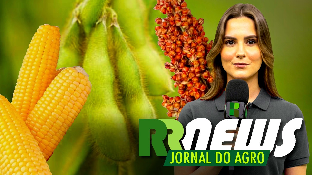 RRNEWS - O Jornal do Agro - 15/08/2026