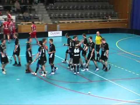 Skellefteå IBK Top 20 Goals 2008/09
