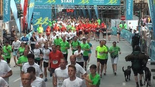 J.P. Morgan Lauf Frankfurt 2014 Mann mit Rucksack und Hunden